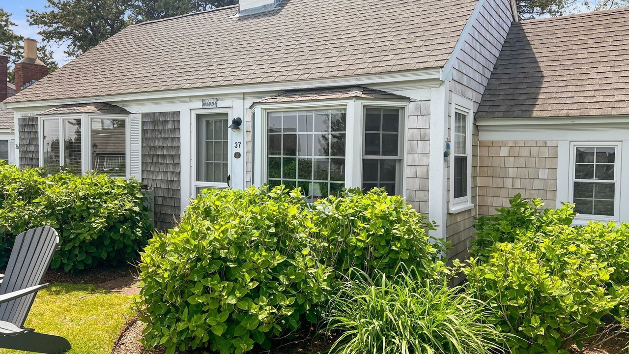 Photo of Others in South Yarmouth