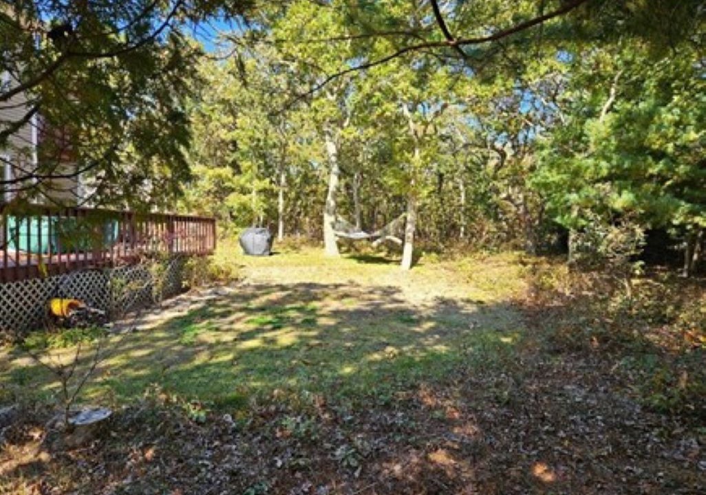 Photo of Outdoor in Edgartown