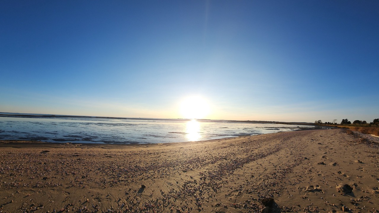 Photo of Others in Old Lyme