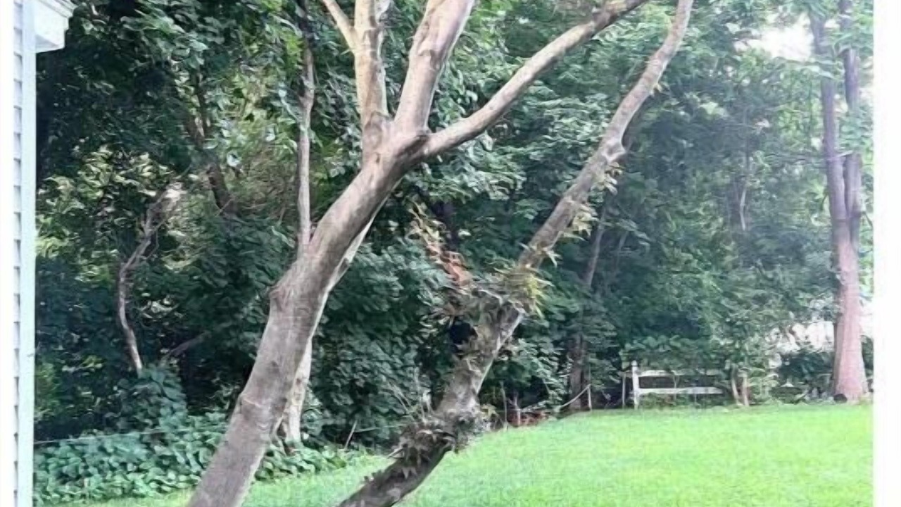 Photo of Outdoor in Brattleboro