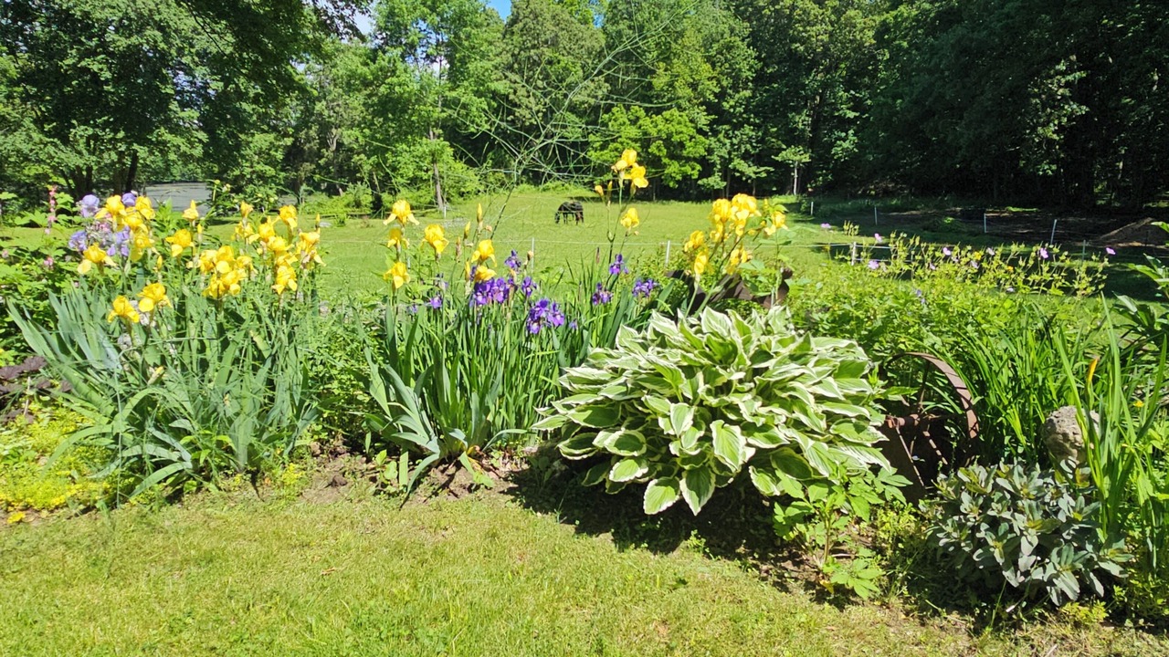 Photo of Outdoor in Clinton