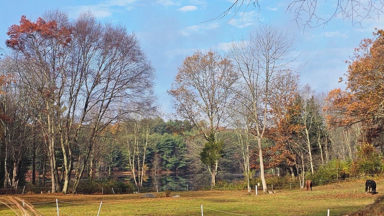 Photo of Others in Clinton