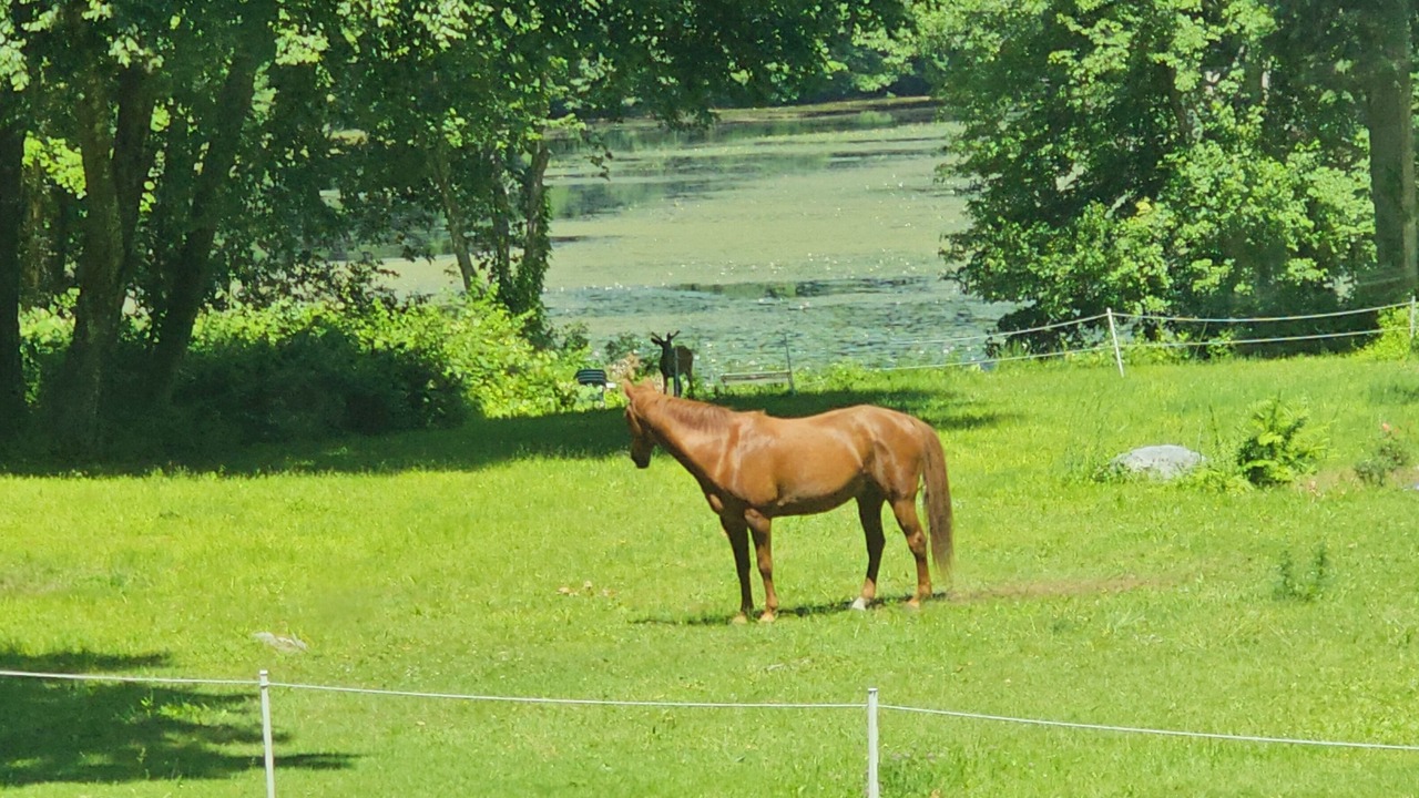 Photo of Others in Clinton