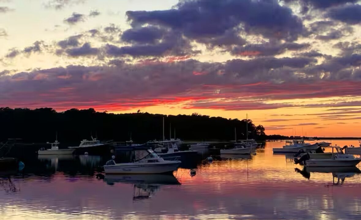 Photo of Others in Tisbury