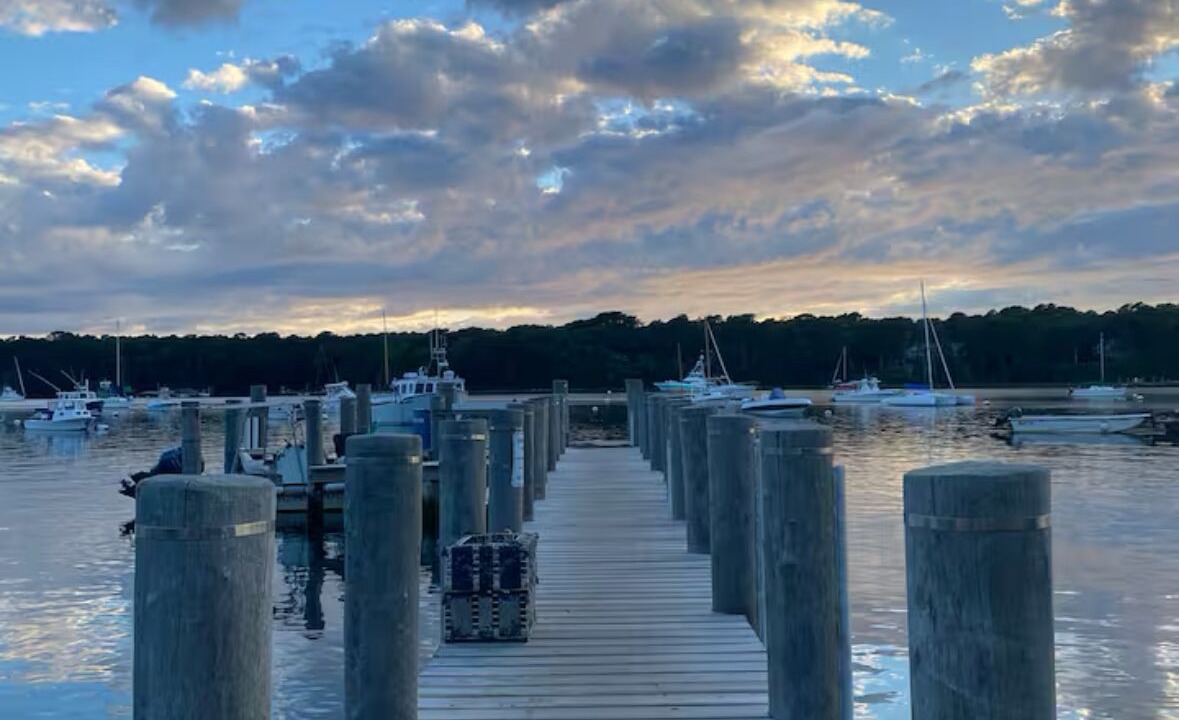 Photo of Others in Tisbury