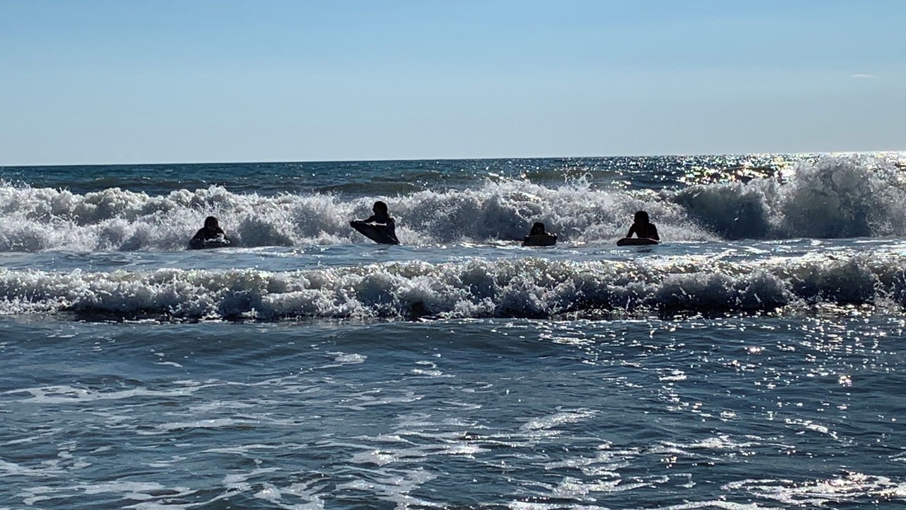 Photo of Others in Tisbury