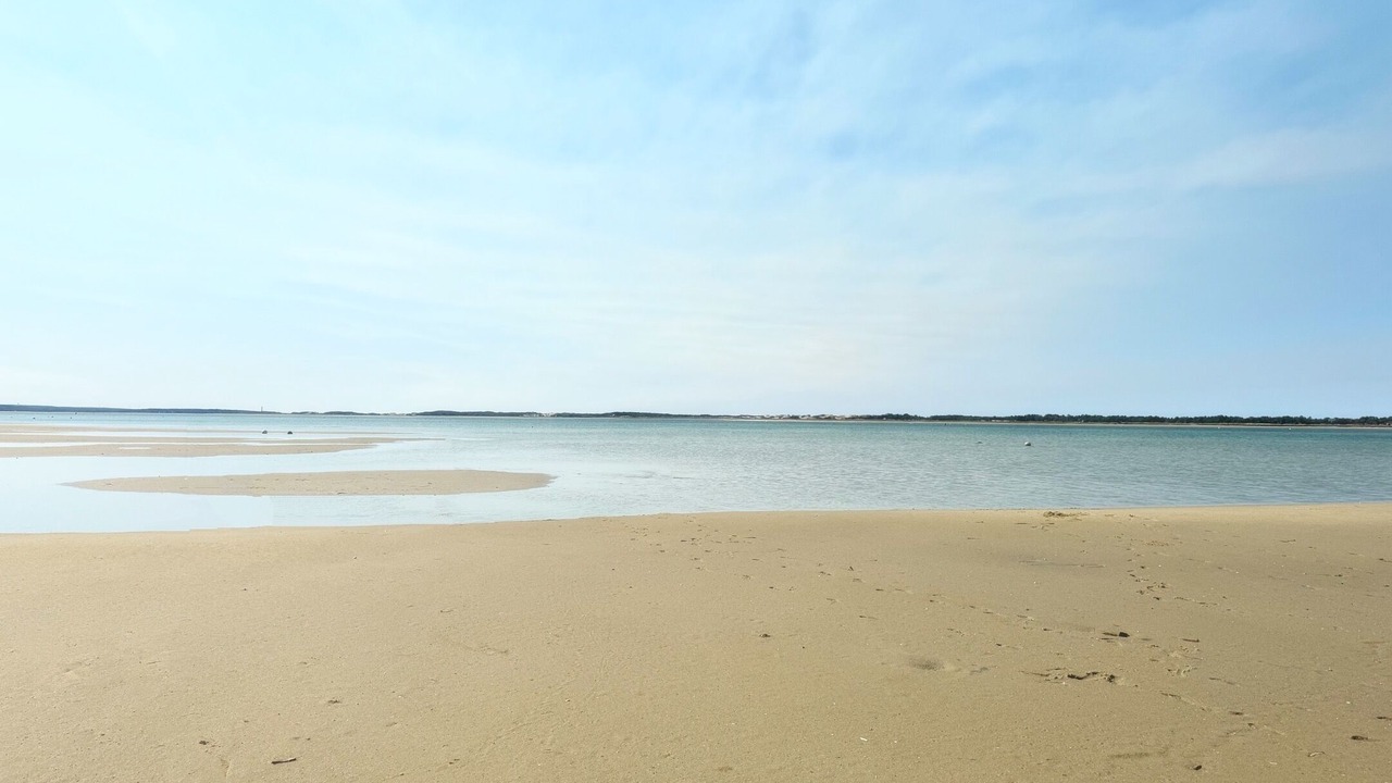 Photo of Others in Barnstable
