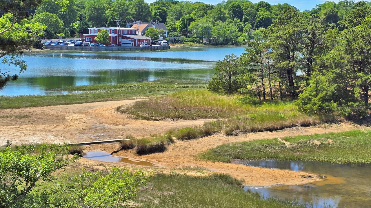 Photo of Others in Wellfleet
