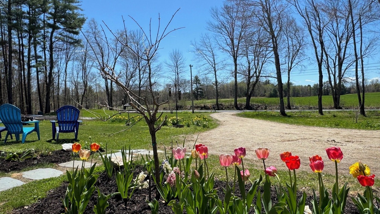 Photo of Outdoor in Pownal
