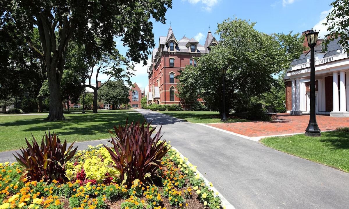 Photo of Outdoor in Cambridge