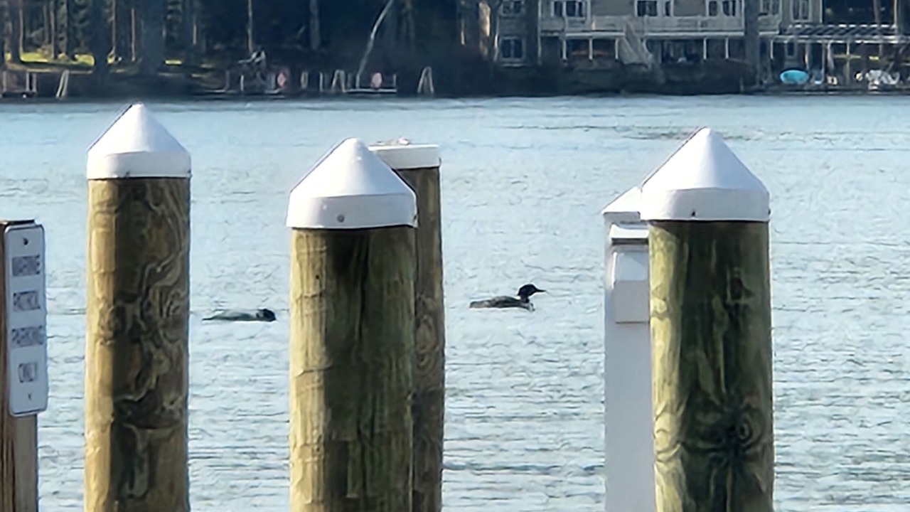 Photo of Others in Wolfeboro