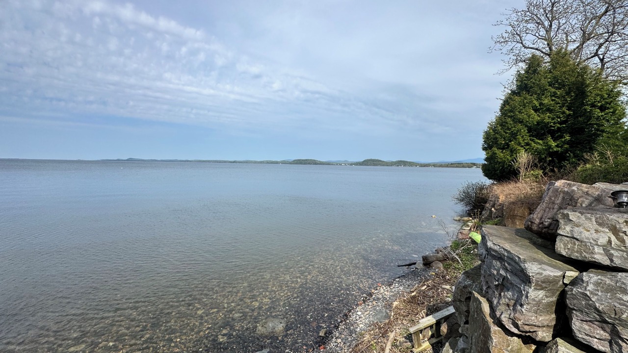 Photo of Others in Malletts Bay