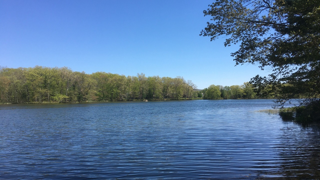 Photo of Outdoor in Ancramdale