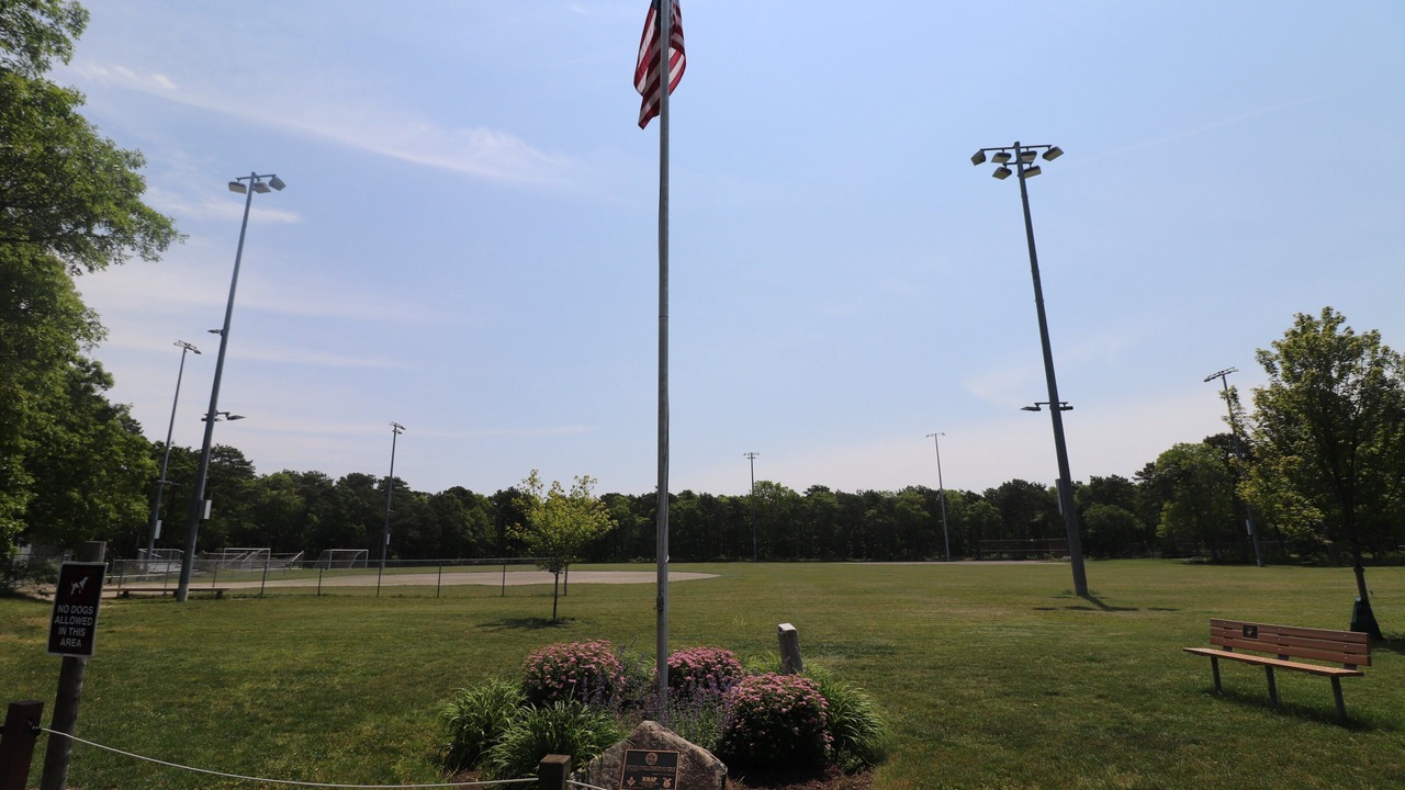 Photo of Others in South Dennis