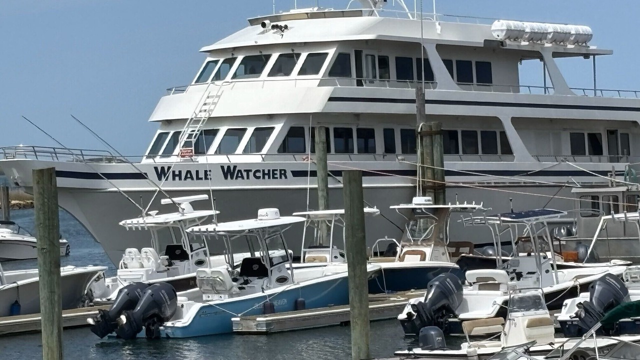 Photo of Others in Barnstable