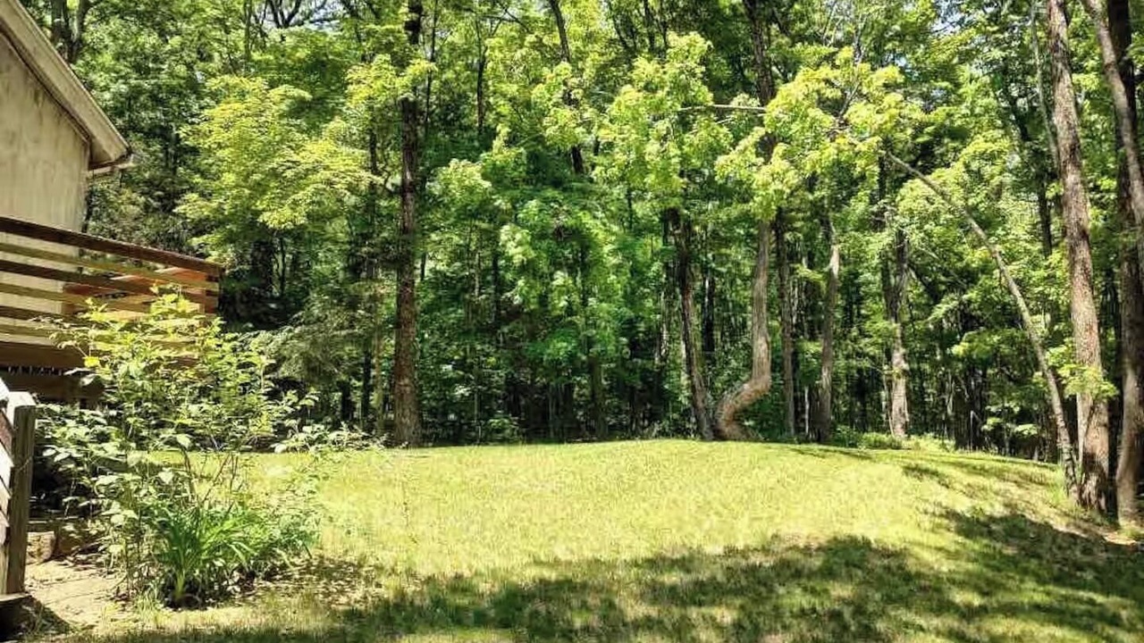 Photo of Outdoor in Otis