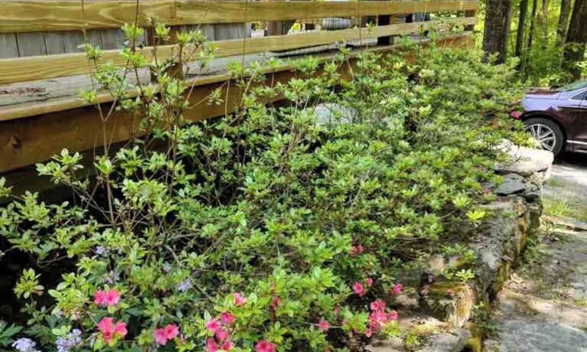 Photo of Outdoor in Otis