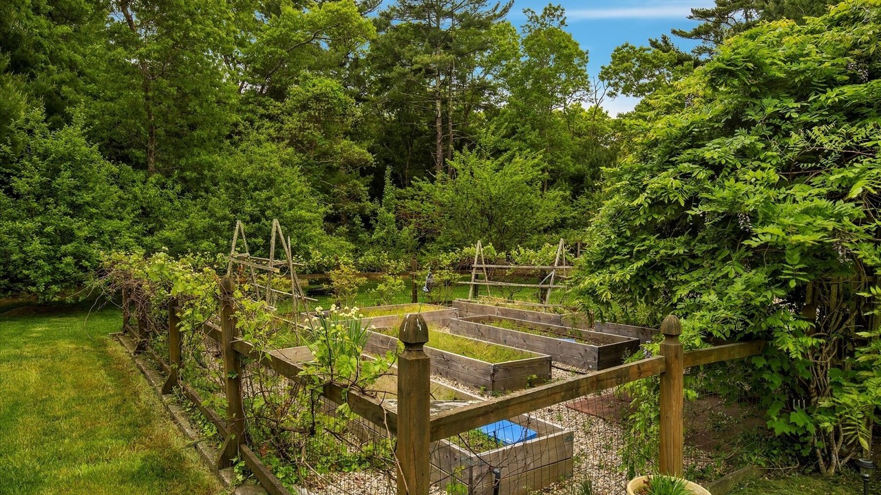 Photo of Outdoor in East Falmouth