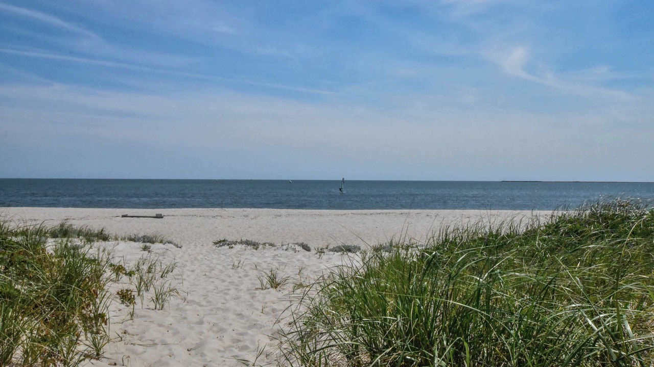 Photo of Others in Hyannis