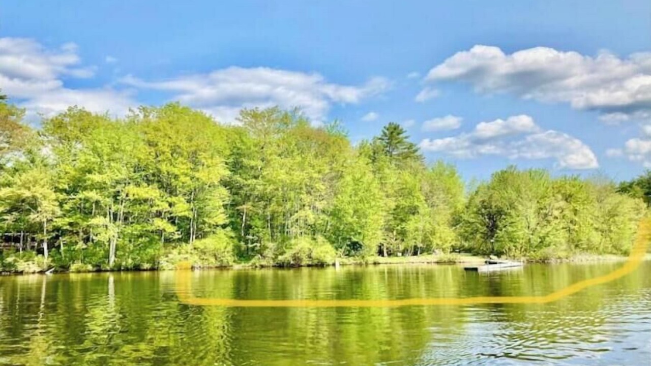 Photo of Others in Wolfeboro