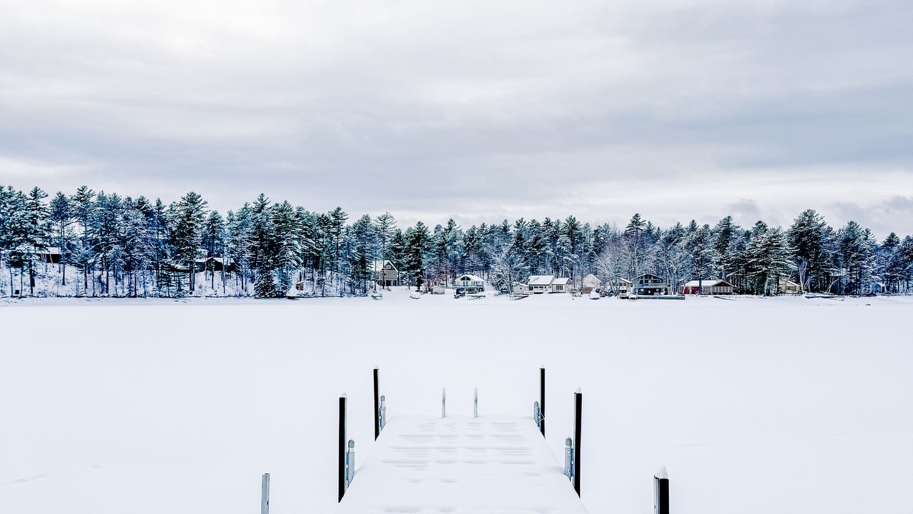 Photo of Others in Pine River Pond