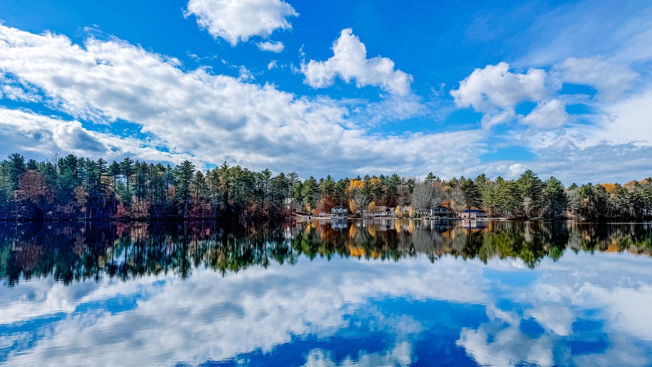 Photo of Others in Pine River Pond