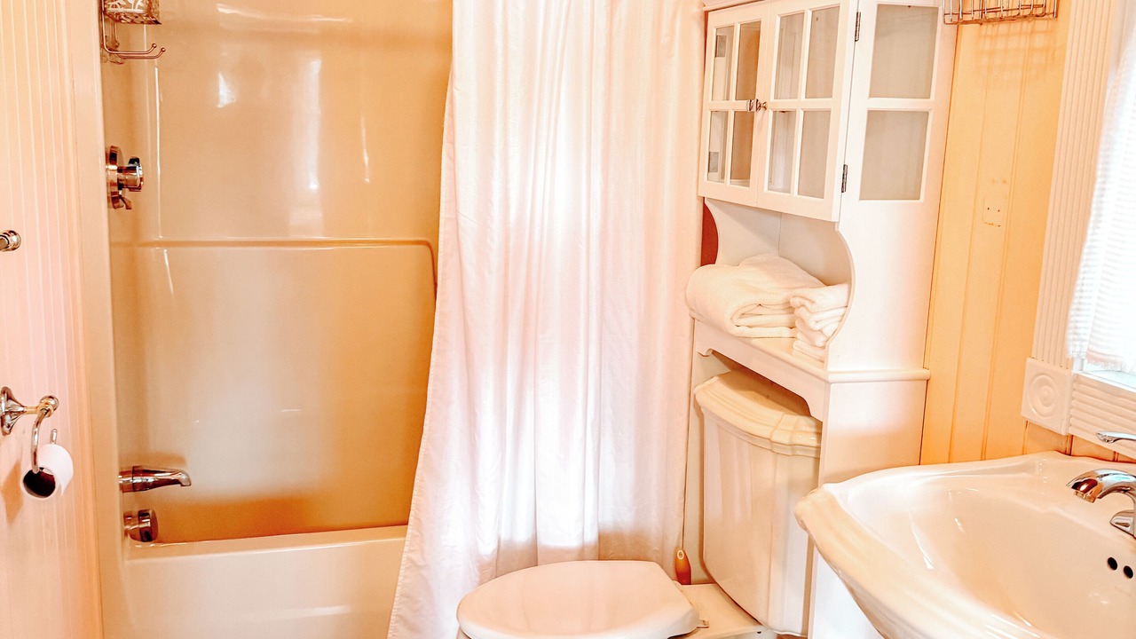 Photo of Bathroom in Pine River Pond