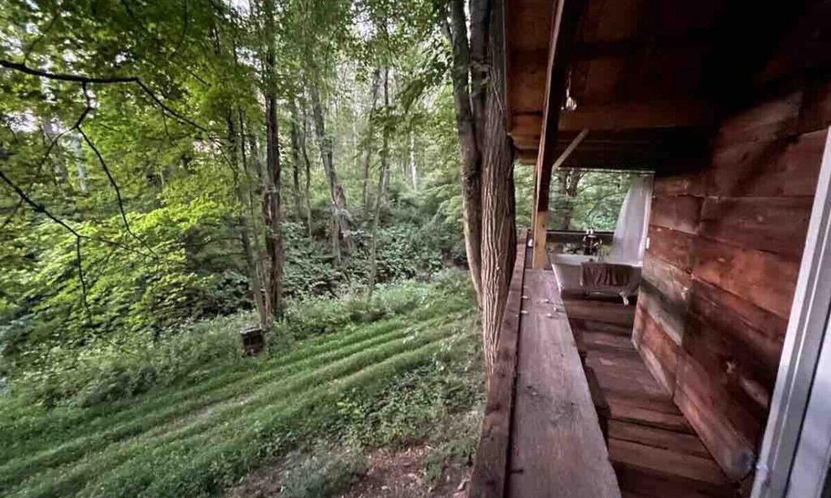 Photo of Patio Balcony in Hyde Park