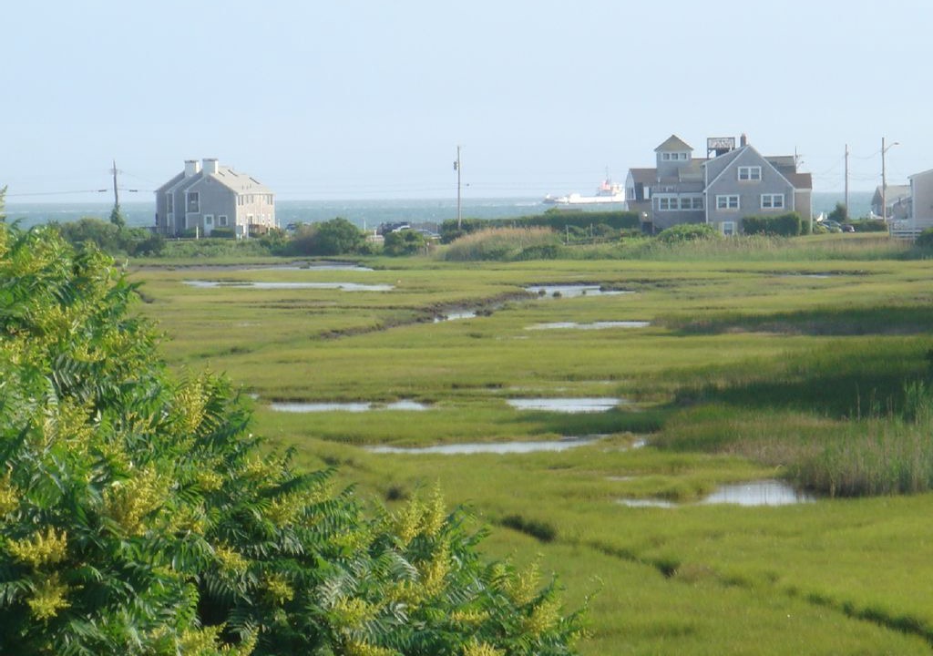 Photo of Others in Hyannis