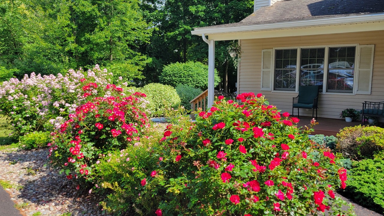 Photo of Outdoor in Newburgh