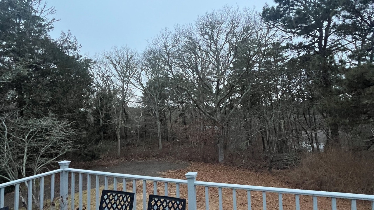 Photo of Outdoor in East Harwich
