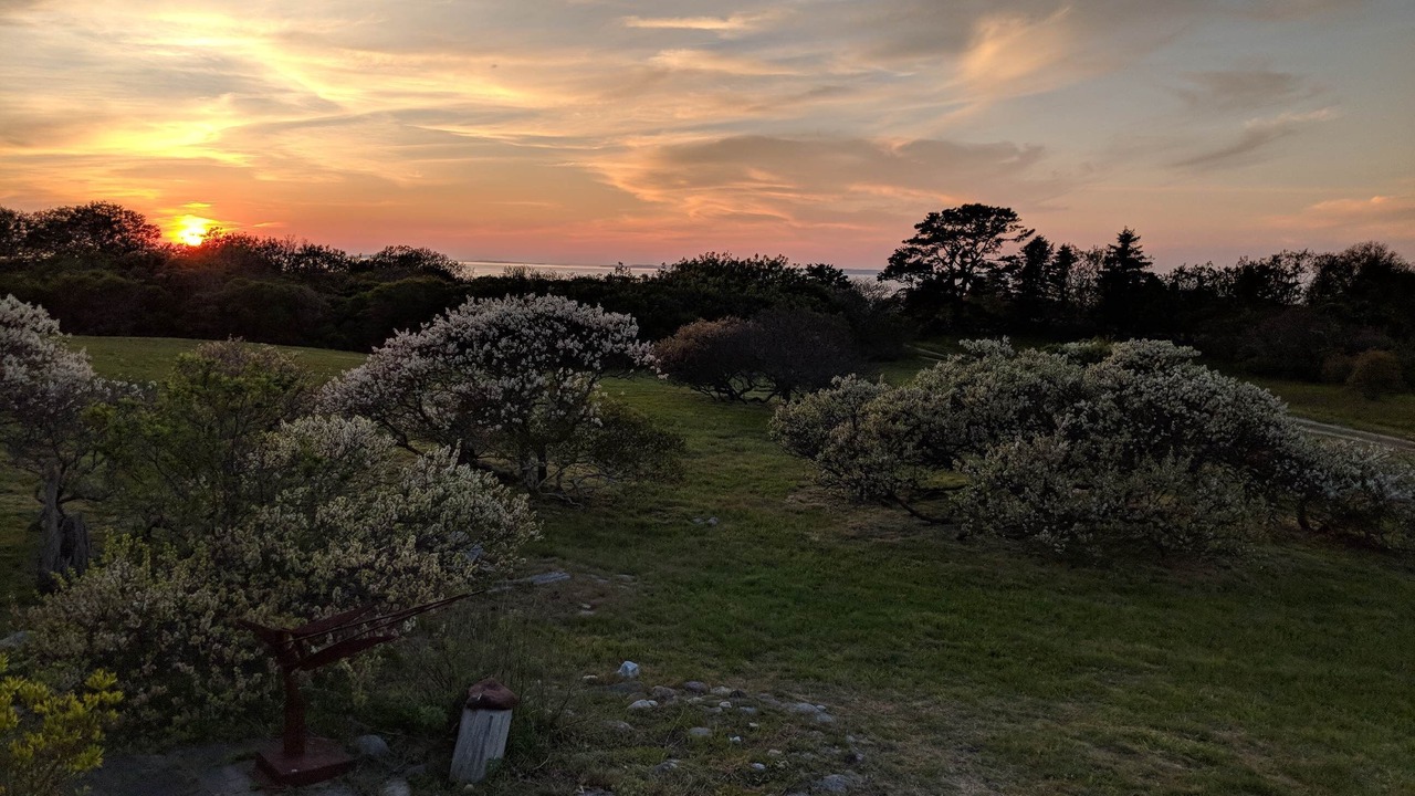 Photo of Others in Aquinnah