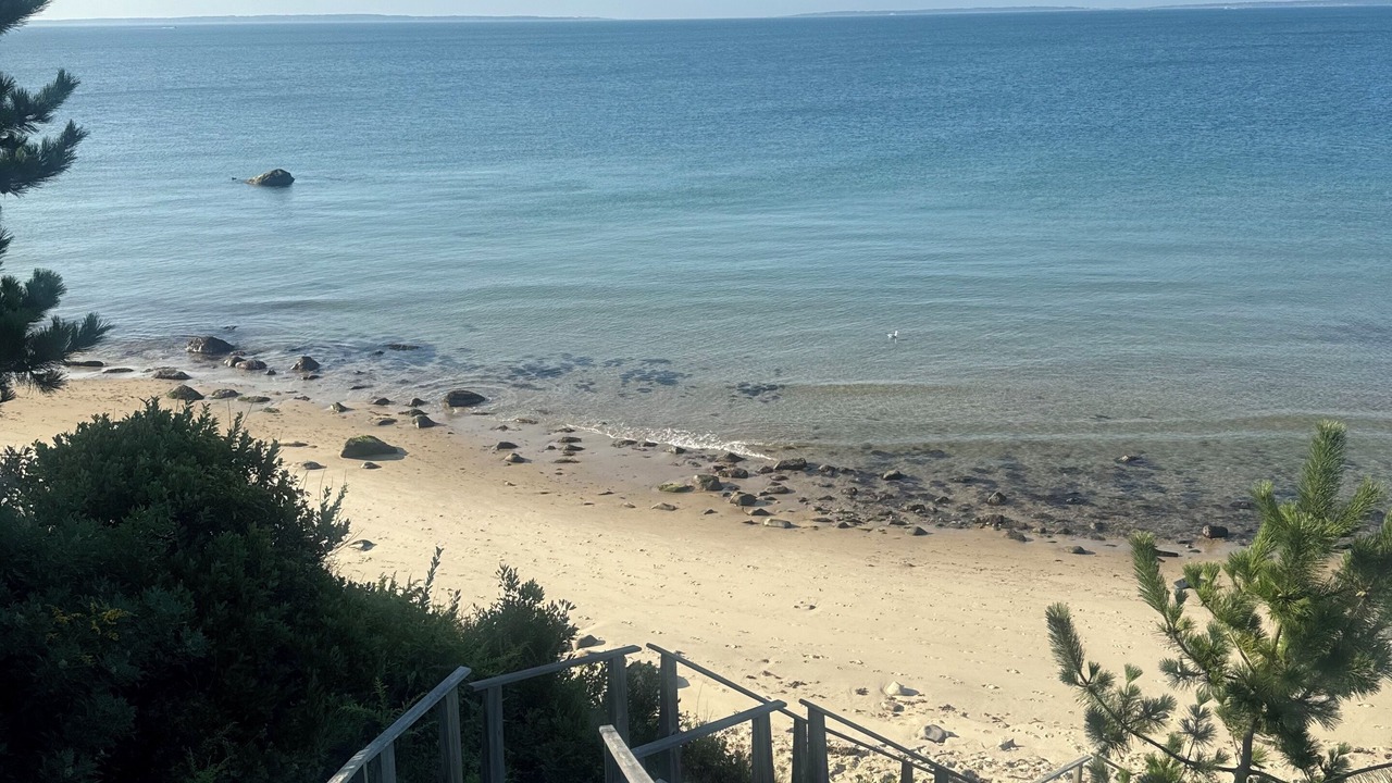 Photo of Others in Aquinnah