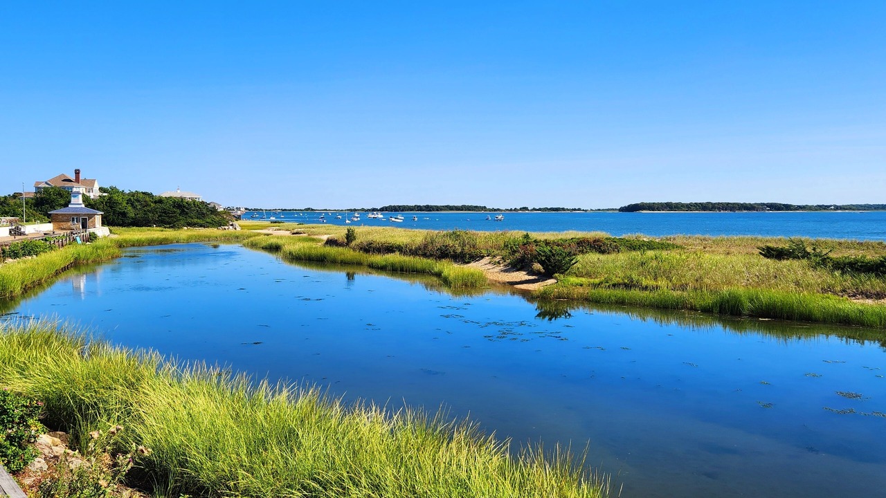 Photo of Others in West Yarmouth