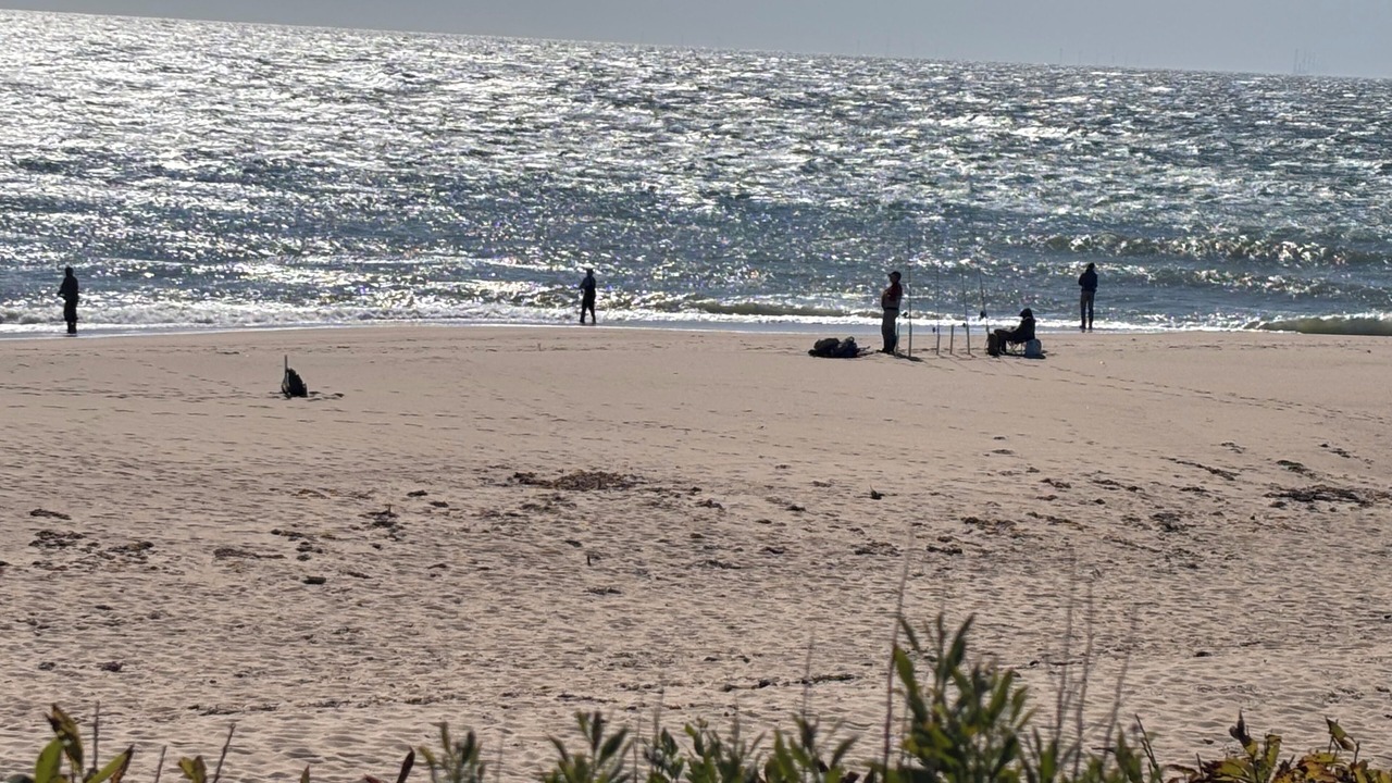 Photo of Others in Edgartown