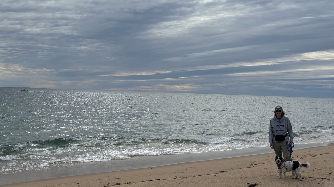Photo of Others in Edgartown