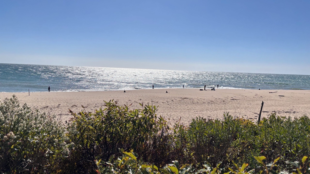Photo of Others in Edgartown
