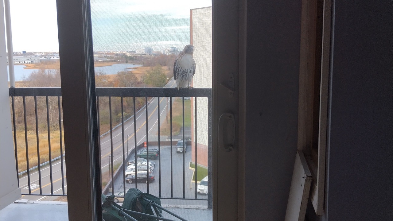 Photo of Others in Quincy