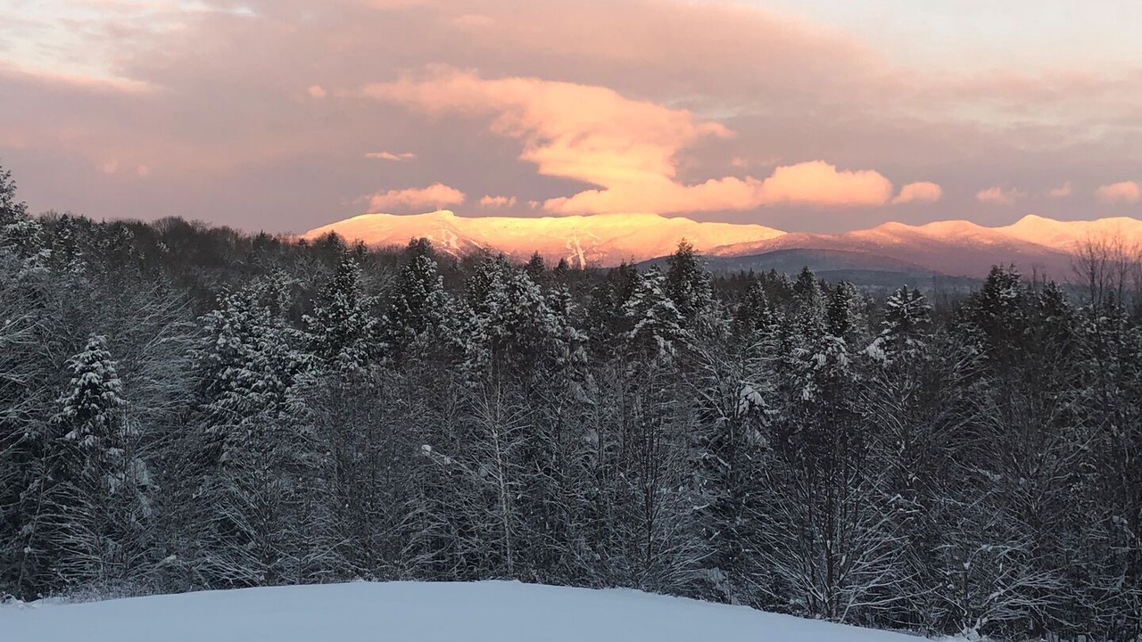Photo of Others in Stowe