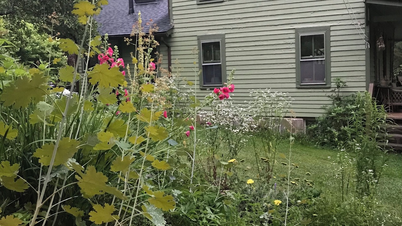 Photo of Outdoor in Fleischmanns