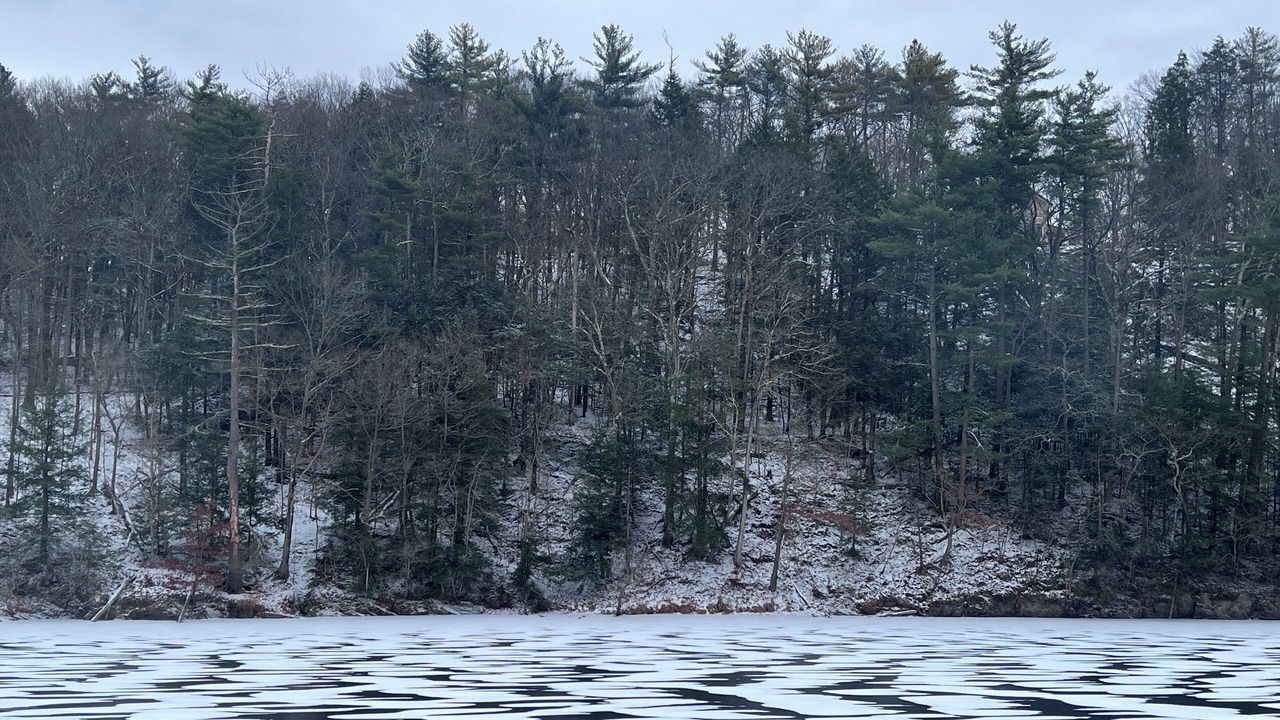 Photo of Others in Mount Marion