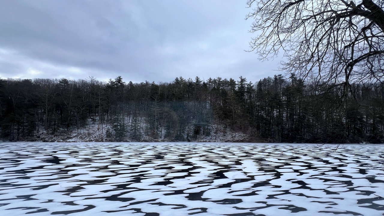 Photo of Others in Mount Marion