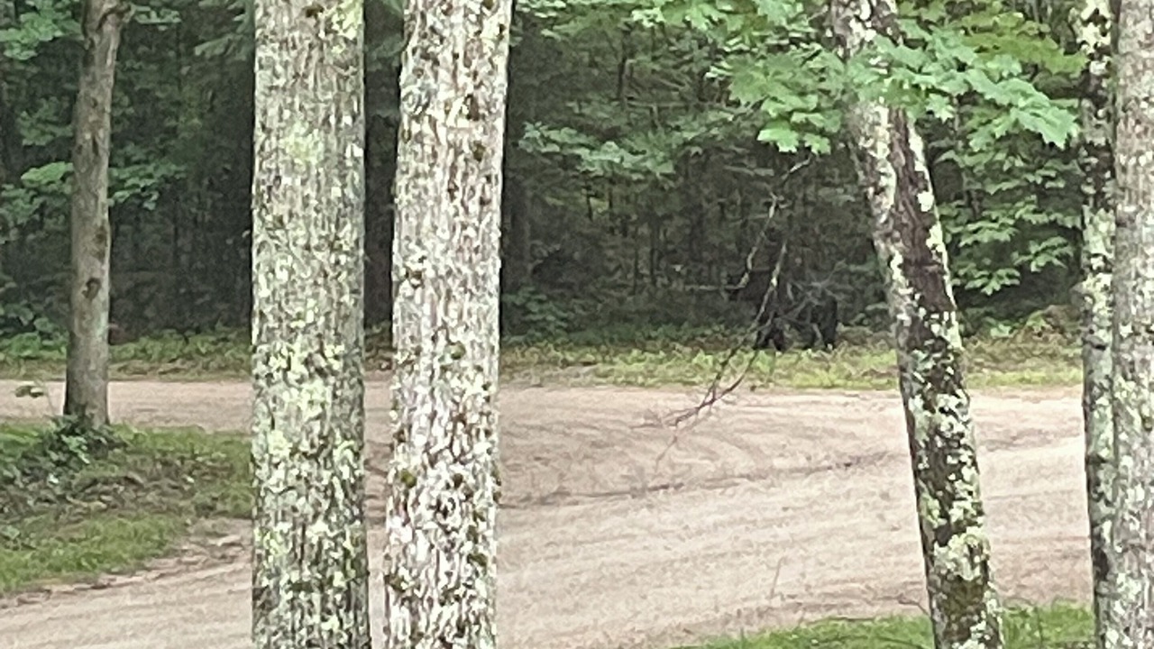 Photo of Others in Moultonborough