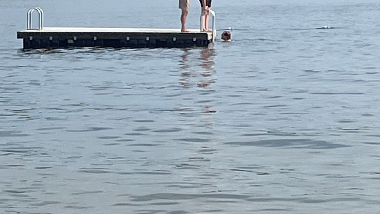 Photo of Others in Moultonborough