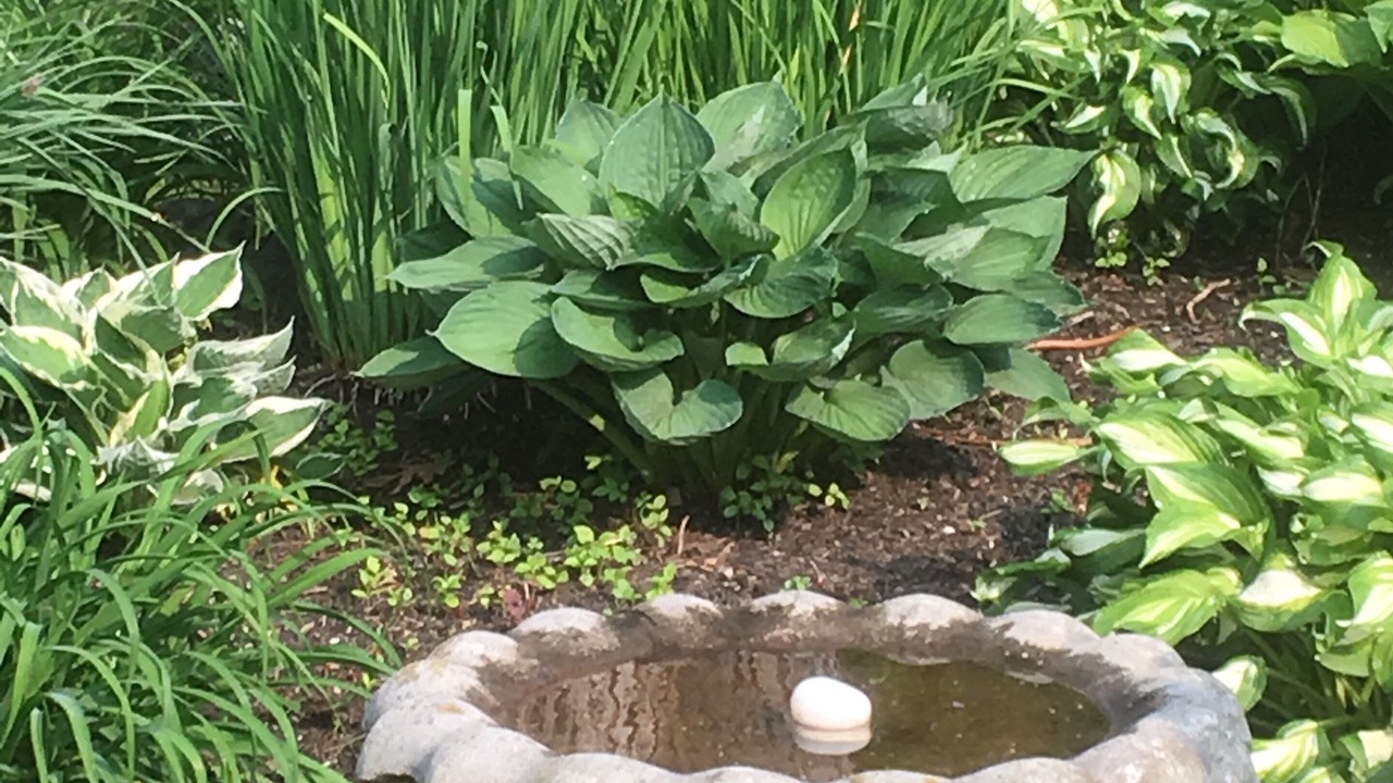 Photo of Outdoor in Madison