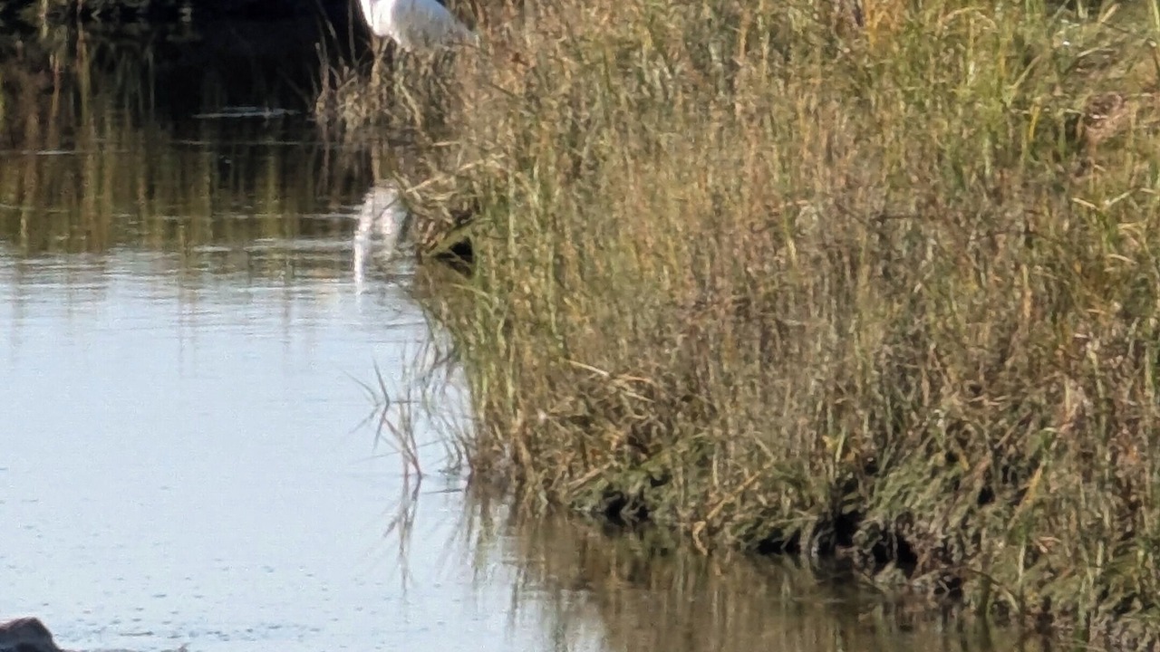 Photo of Others in Wells