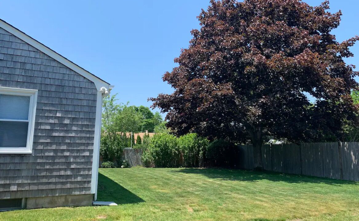 Photo of Outdoor in Newport East