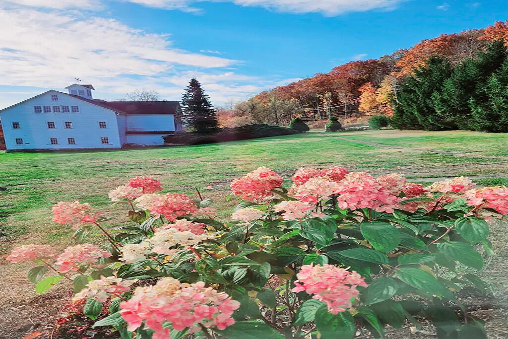 Photo of Outdoor in Hillsdale