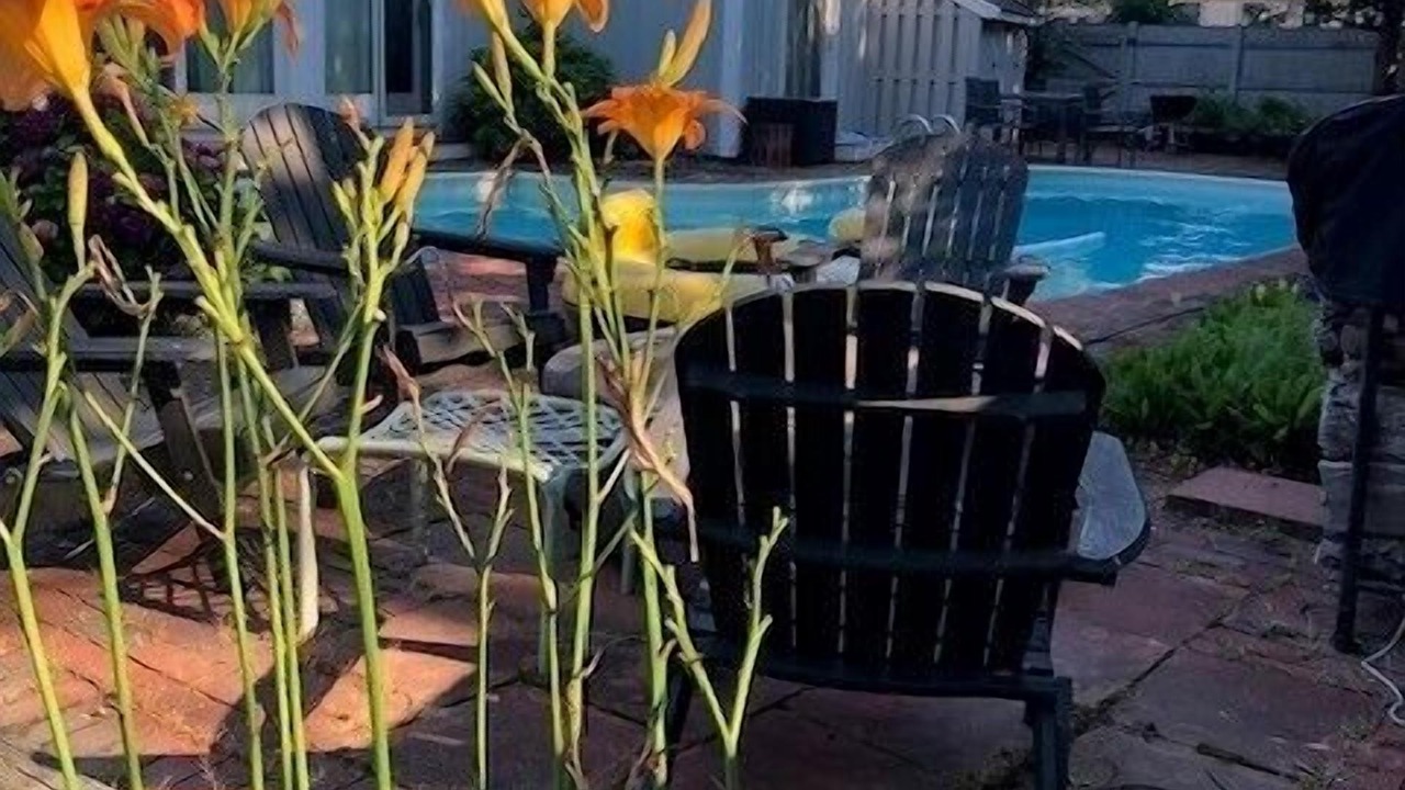 Photo of Outdoor in Barnstable
