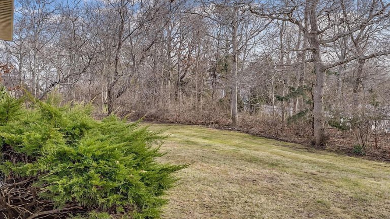 Photo of Outdoor in Dennis